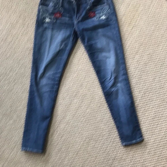 Driftwood Embroidered Skinny Denim Jeans - Picture 2 of 7